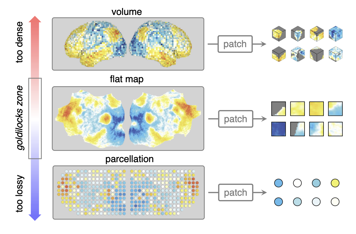 Spectrum of fMRI data representations for volume, flat map, and parcellation patching